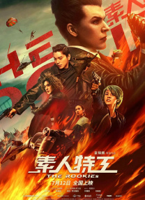 国产精品成人v